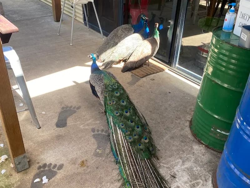 Nant Distillery winery in TAS