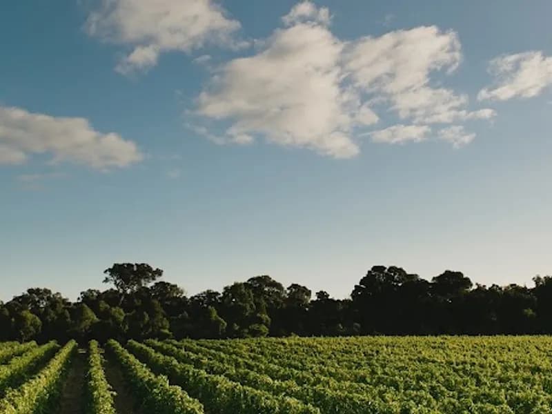 Western Range winery in WA