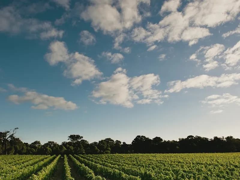 Western Range winery in WA