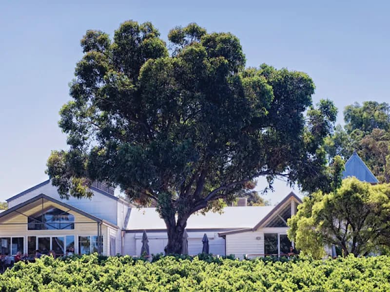 Edgecombe Brothers winery in Henley Brook, WA