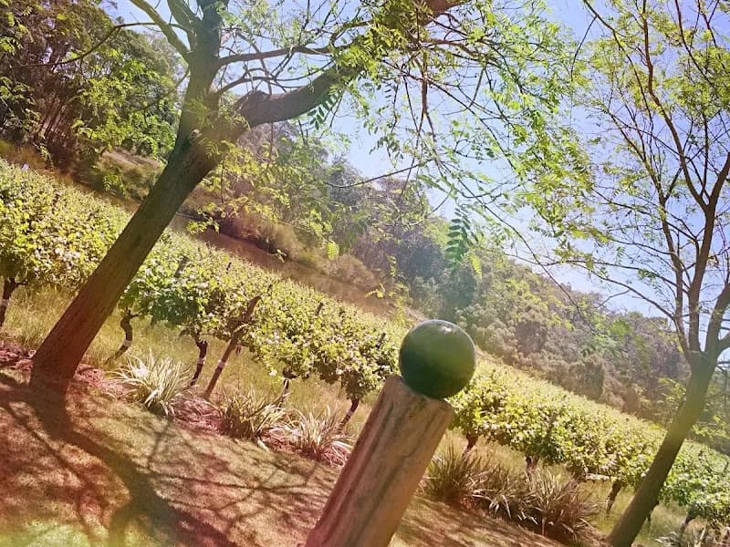 Little River Winery and Café winery in WA