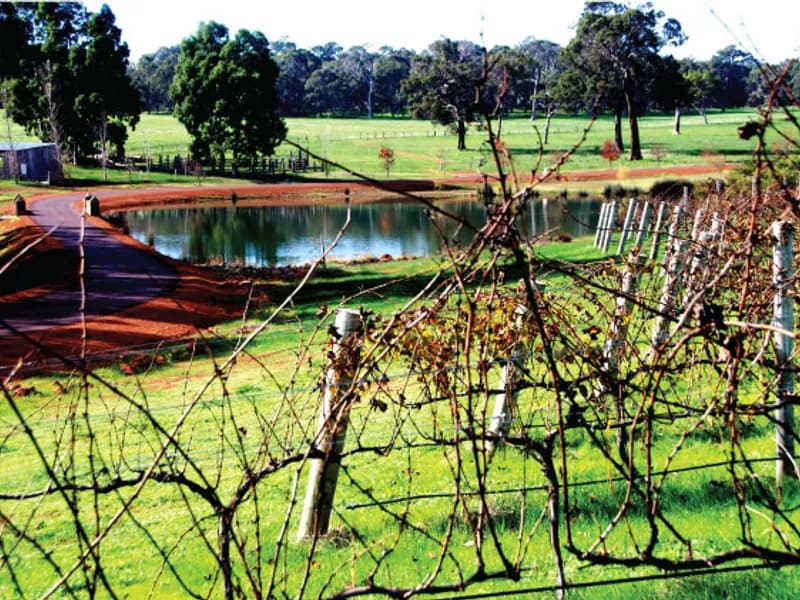 Little River Winery and Café winery in WA