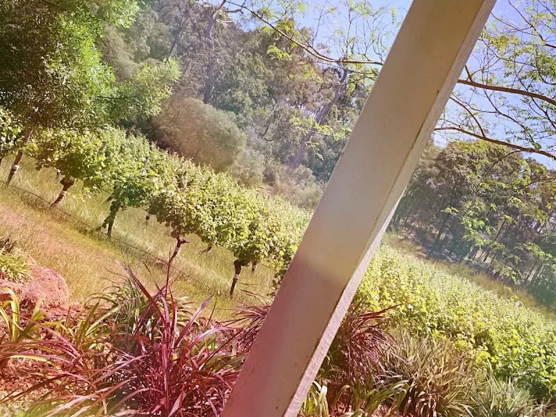 Little River Winery and Café winery in WA