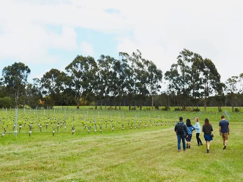 Singlefile Wines Cellar Door winery in WA