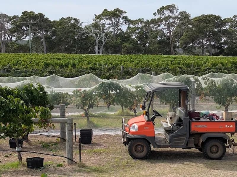 Peel Ridge winery in Karnup, WA