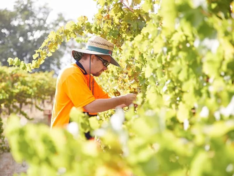 Chestnut Grove Wines winery in WA