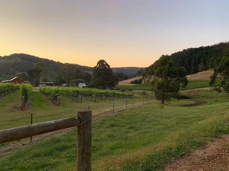 Laurance Wines winery in WA