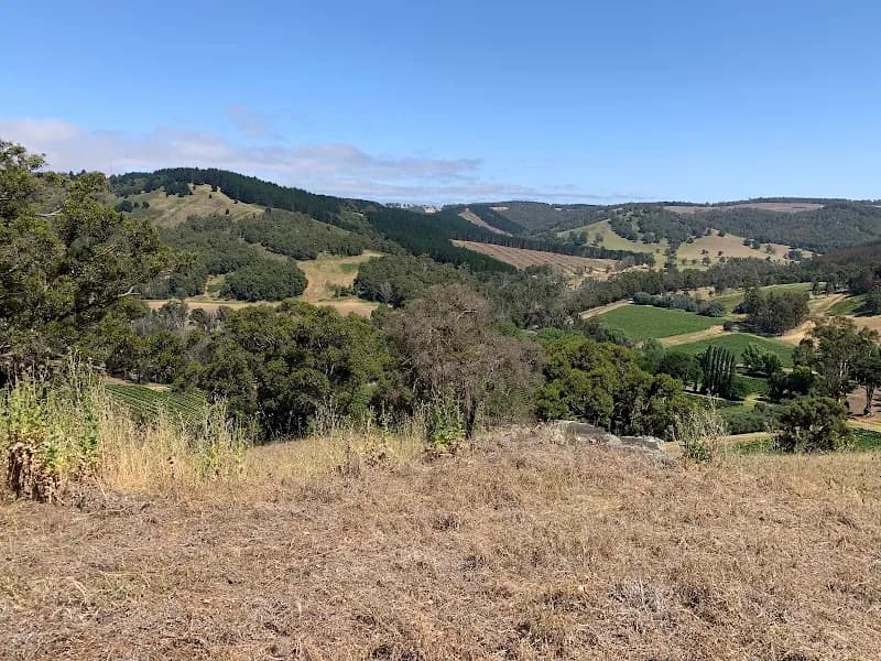 Laurance Wines winery in WA