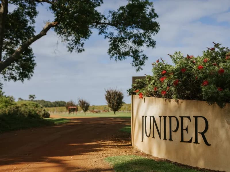 Juniper Estate winery