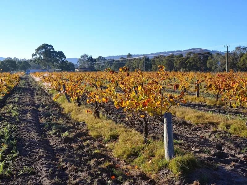 Ribbon Vale Estate winery in WA