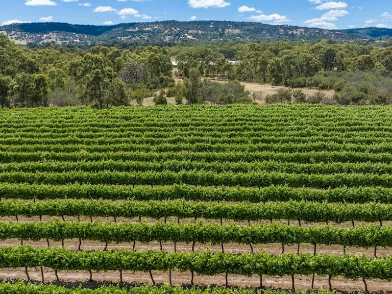 Windance winery in WA