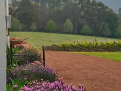 Whimwood Estate Wines winery in Nannup, WA