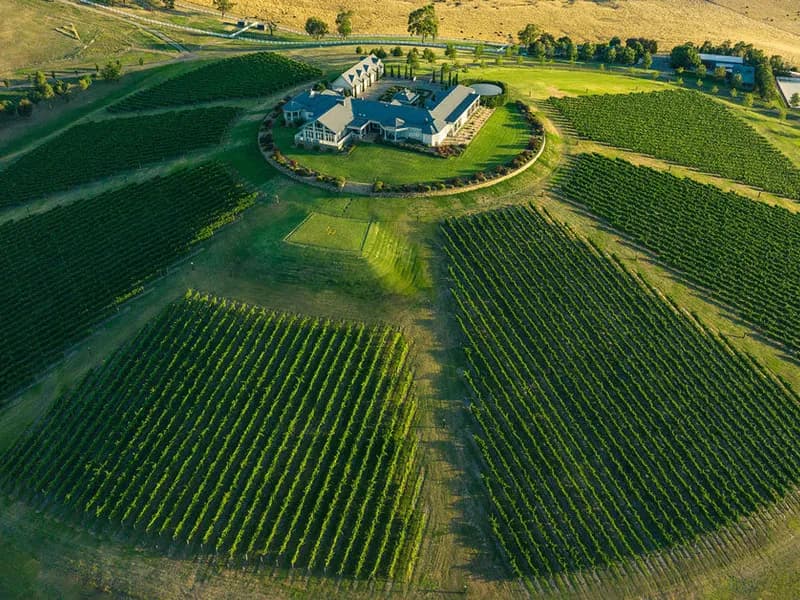 Levantine Hill winery