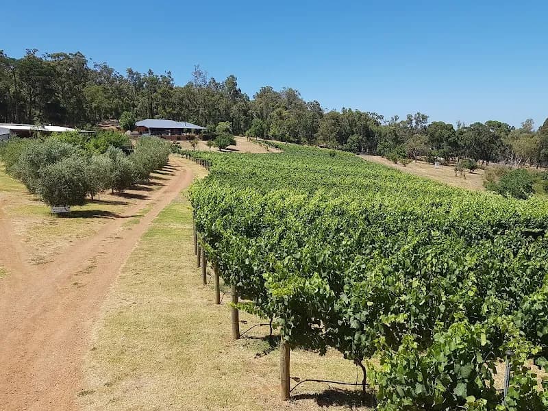Olive Farm Wines winery in WA