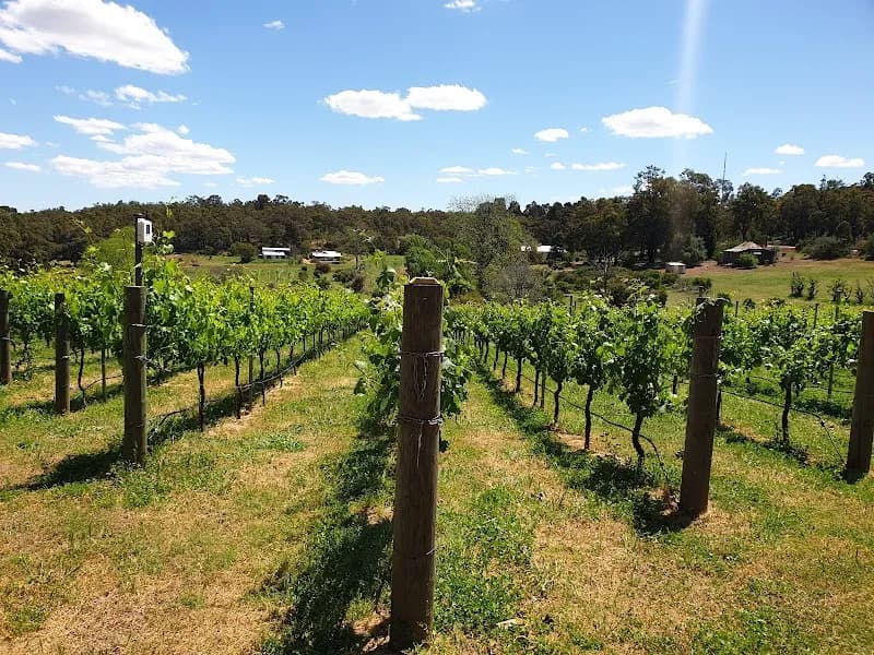 Olive Farm Wines winery in WA