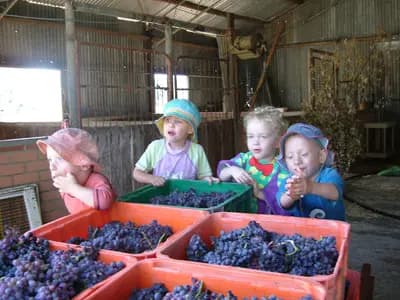 Tyler's Vineyard winery in WA