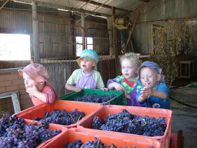 Tyler's Vineyard winery