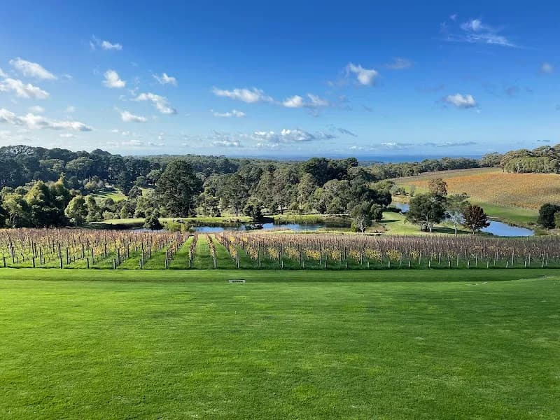 Port Phillip Estate winery in Red Hill South, VIC