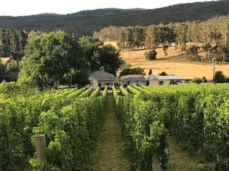 Thompson Brook Estate winery in WA