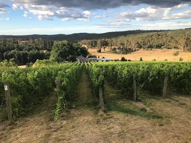 Thompson Brook Estate winery in WA