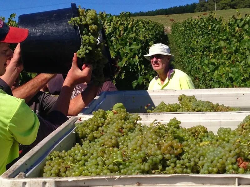 Thompson Brook Estate winery in WA