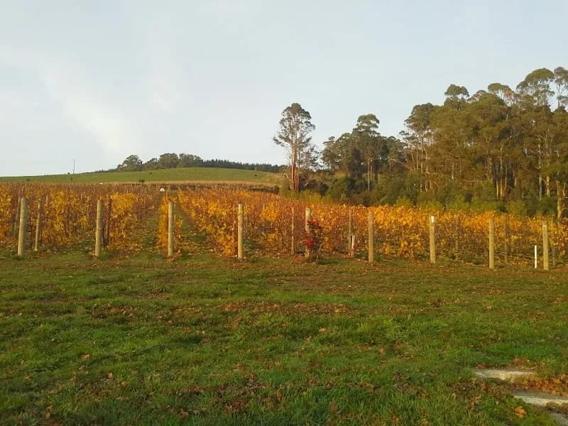 Thompson Brook Estate winery in WA