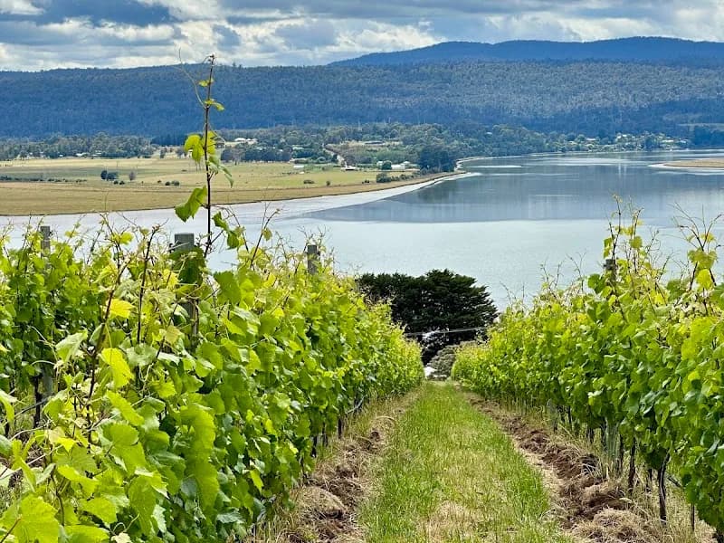 Dormilona winery in WA