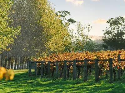 Jarvis Estate winery in Bramley, WA