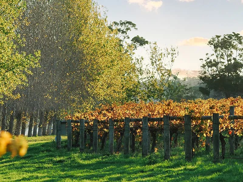 Jarvis Estate winery