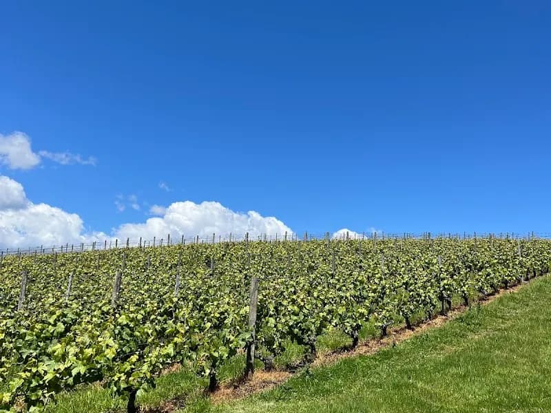 Jarvis Estate winery in Bramley, WA