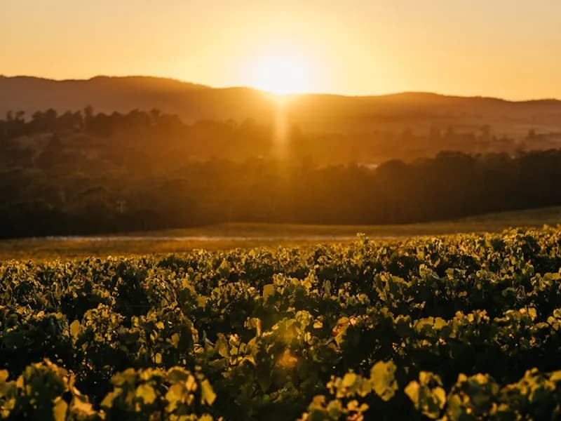 Fermoy Estate winery in WA