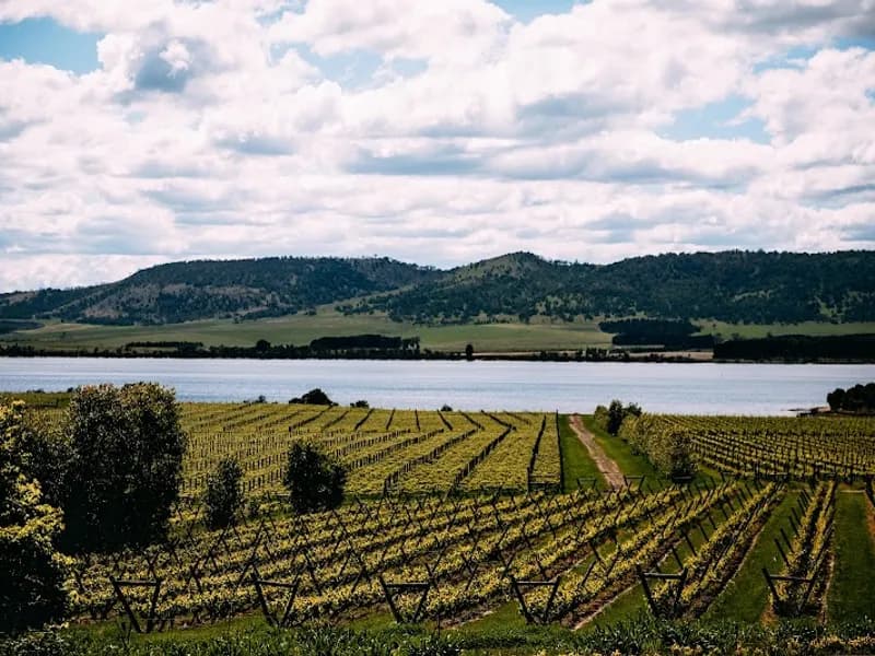 Tolpuddle Vineyard winery in Richmond, TAS