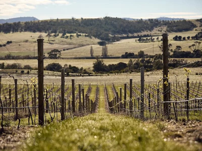 House of Arras winery in Pipers River, TAS