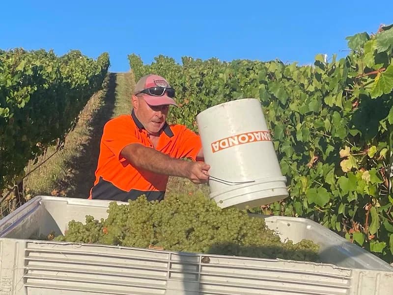 House of Arras winery in Pipers River, TAS