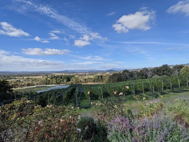 Mewstone Wines winery in Flowerpot, TAS