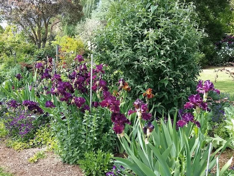 Mewstone Wines winery in Flowerpot, TAS