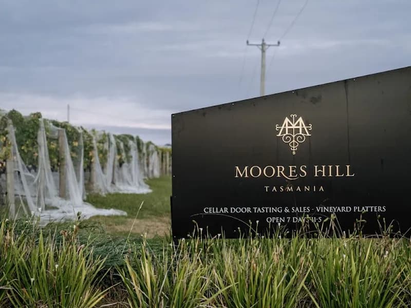 Dalrymple Vineyards winery in Pipers Brook, TAS