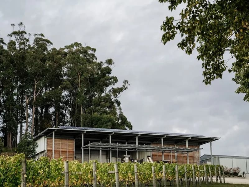 Dalrymple Vineyards winery in Pipers Brook, TAS