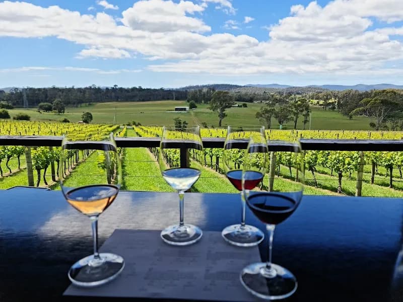 Dalrymple Vineyards winery in Pipers Brook, TAS
