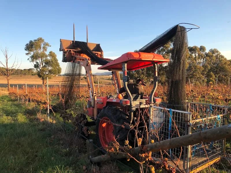 Delamere Vineyards winery in Pipers Brook, TAS