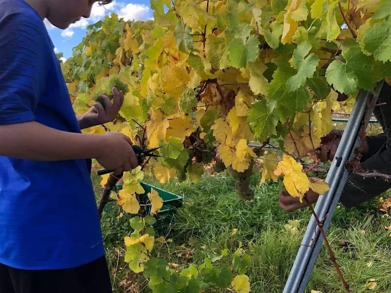 Delamere Vineyards winery in Pipers Brook, TAS