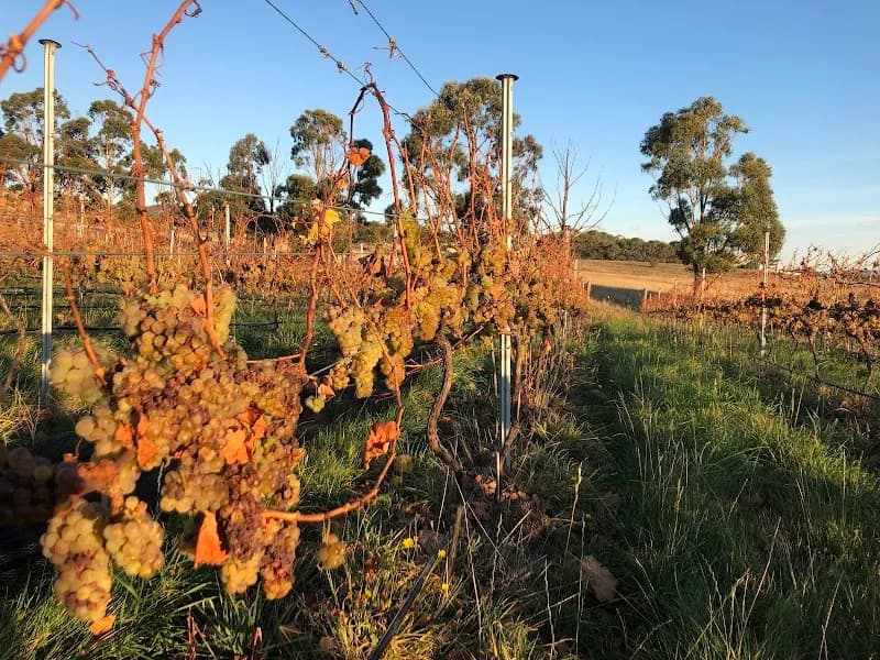 Delamere Vineyards winery in Pipers Brook, TAS