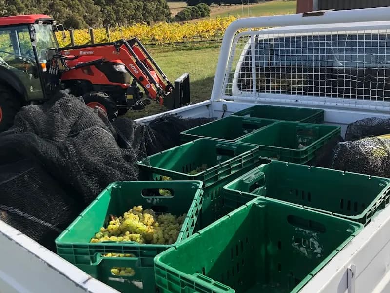 Delamere Vineyards winery in Pipers Brook, TAS