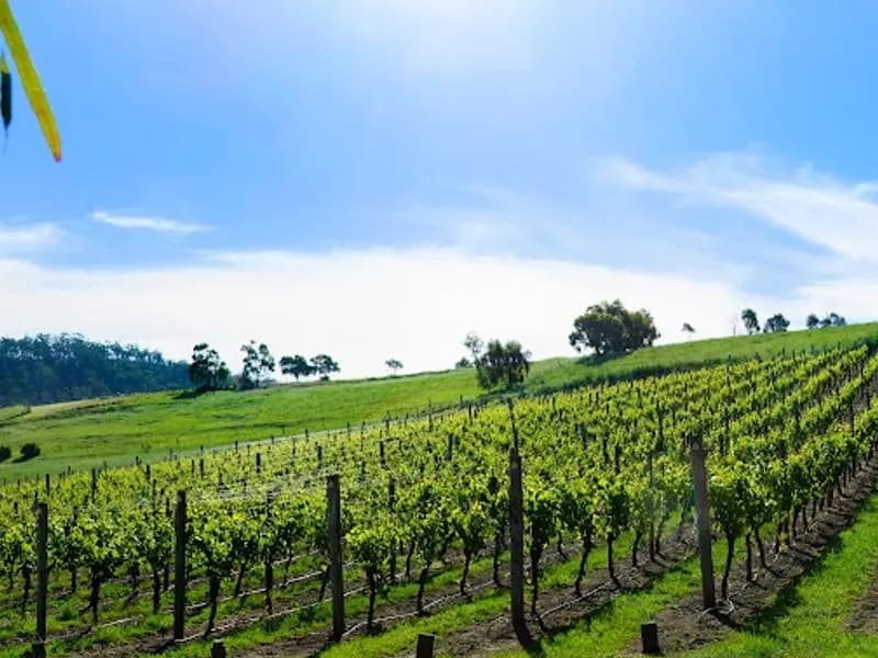 Bay of Fires winery in Woodside, TAS