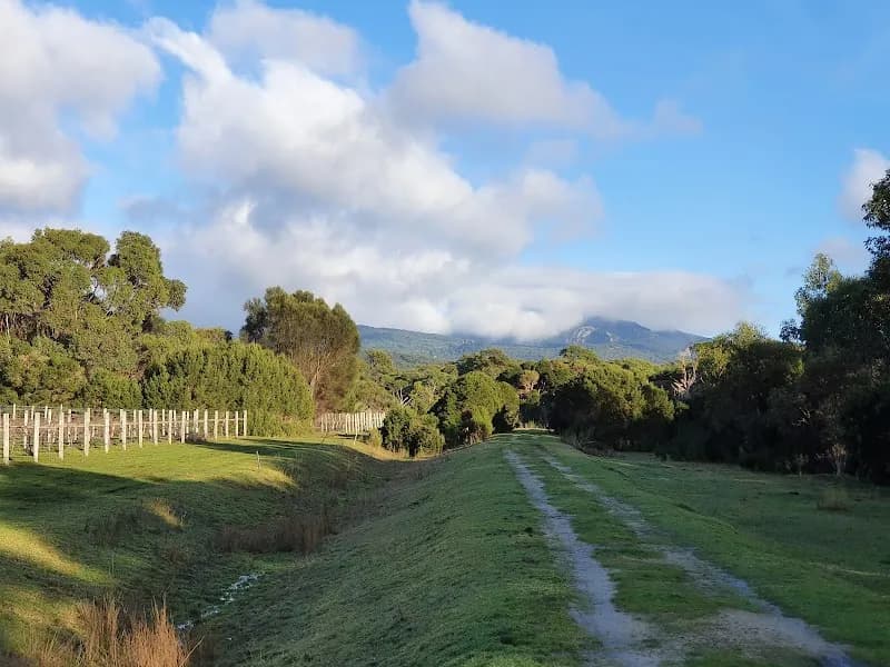 Evenfall winery in Legana, TAS