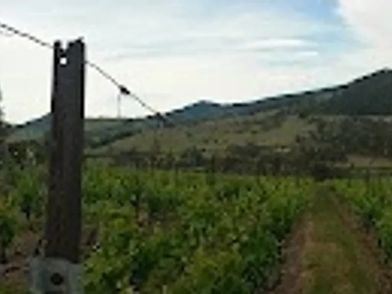Small Wonder winery in Kayena, TAS