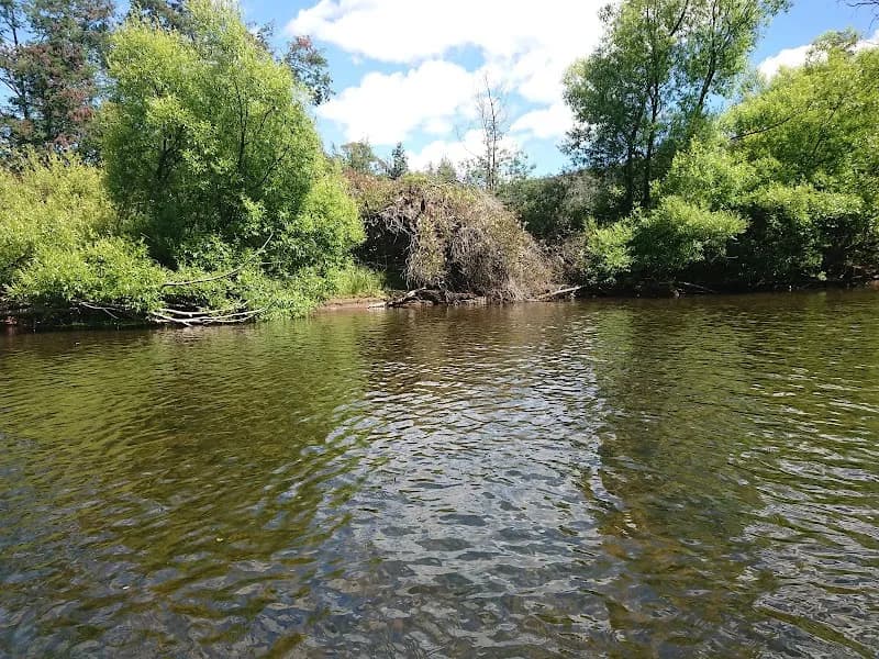 Gala Estate winery in Cranbrook, TAS