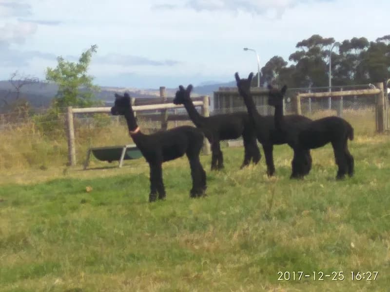 Henskens Rankin of Tasmania winery in Ranelagh, TAS