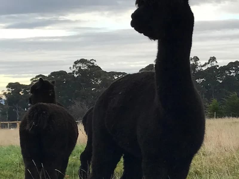 Henskens Rankin of Tasmania winery in Ranelagh, TAS