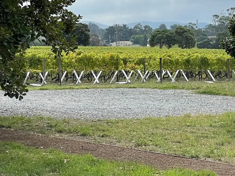 Spikey Bridge Vineyard winery in Relbia, TAS